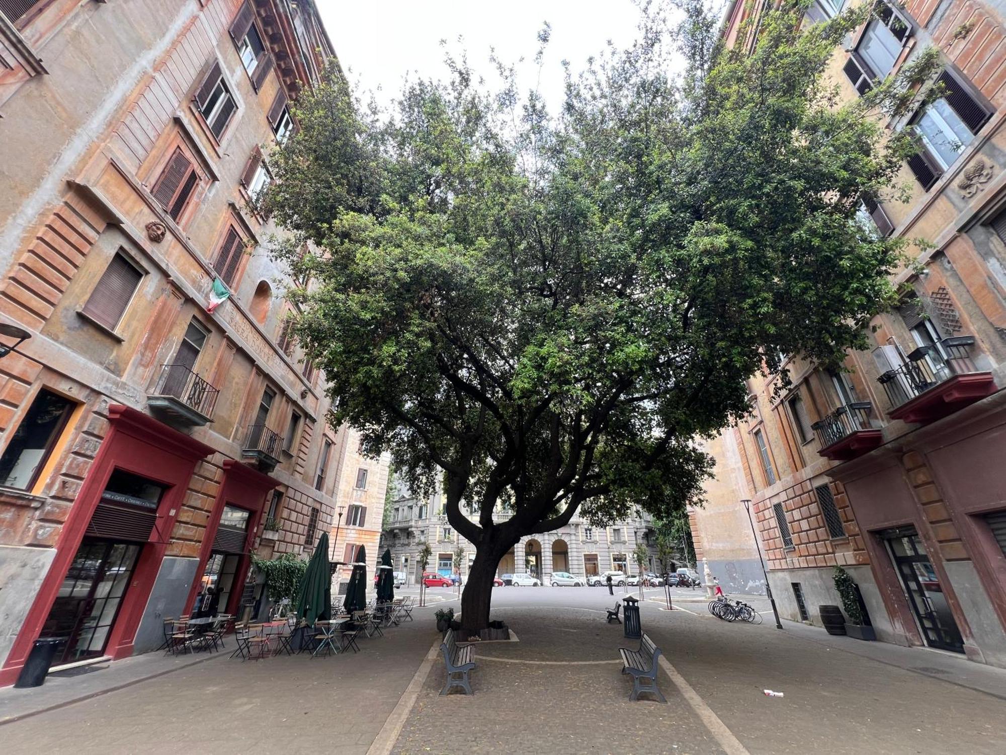 Bed & Breakfast Lungotevere Flaminio Rome